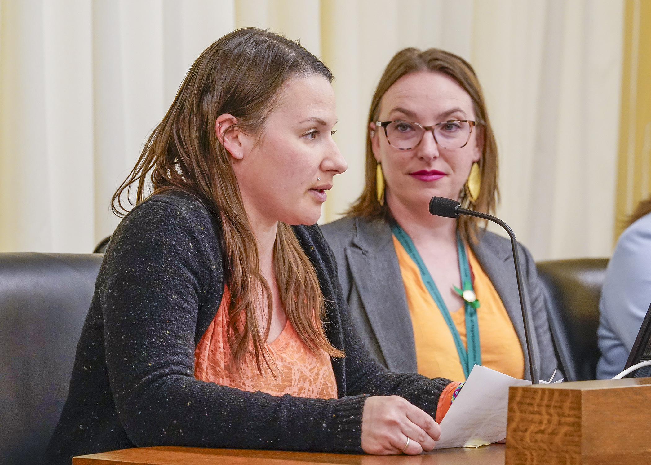 Jennifer Stein testifies before the House Health Finance and Policy Committee April 8 in support of a bill sponsored by Rep. Carlie Kotyza-Witthuhn, right, that would require health plans to cover infertility treatment. (Photo by Andrew VonBank)